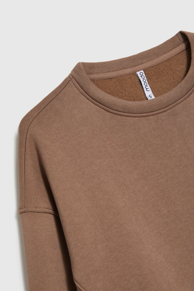 WOMEN'S SWEATSHIRT Z-BL-4814 COFFEE-set