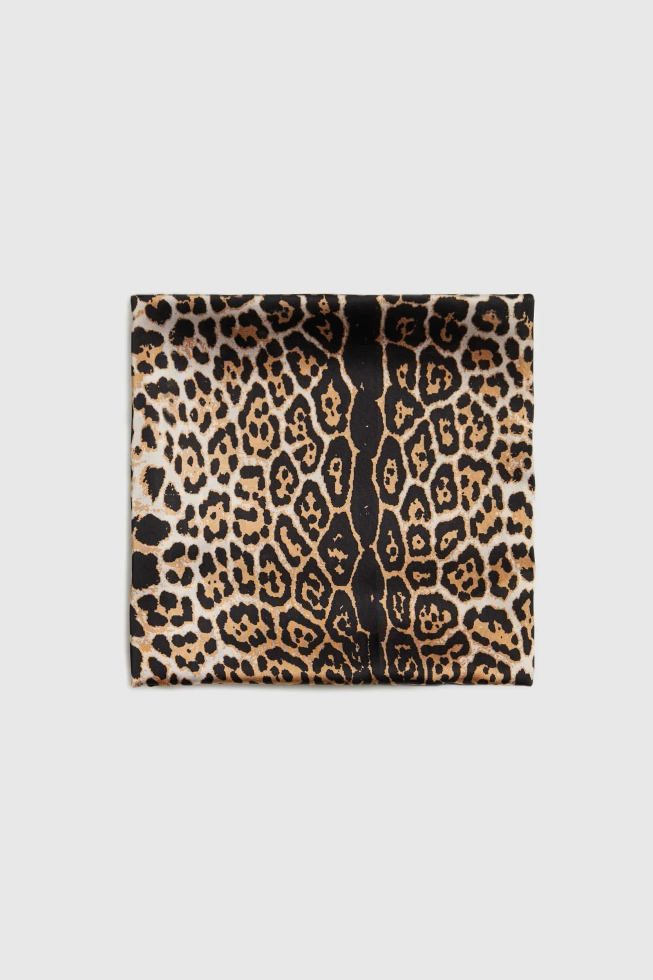 WOMEN'S SCARF L-SZ-4909 BROWN