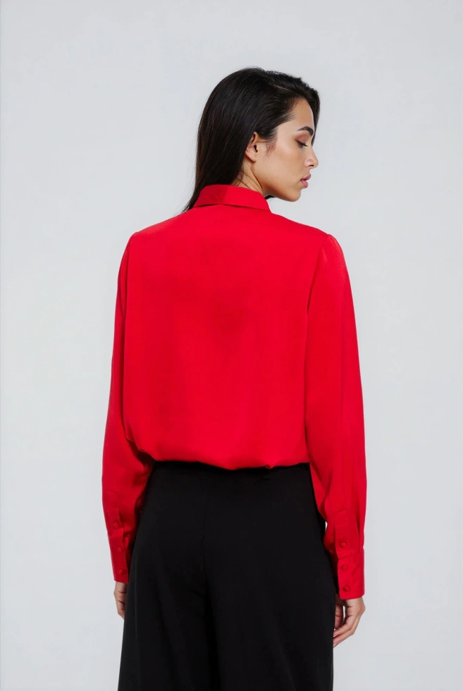 WOMEN'S SHIRT Z-KO-4831 RED-set